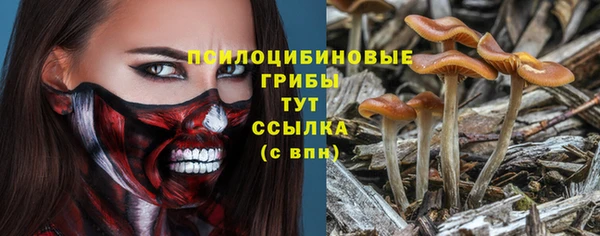Альфа ПВП Аркадак