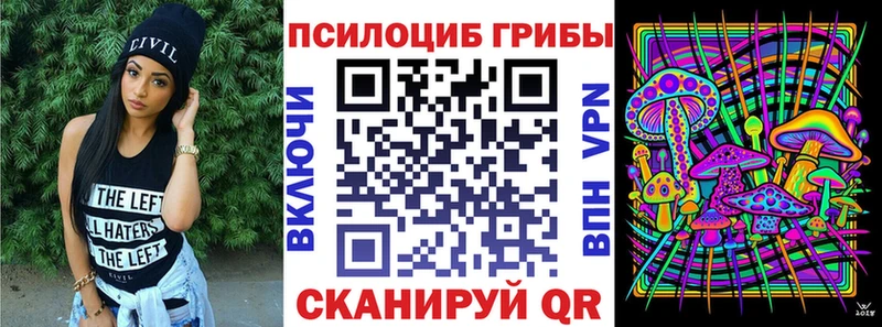 Галлюциногенные грибы Psilocybine cubensis  Бирюч 